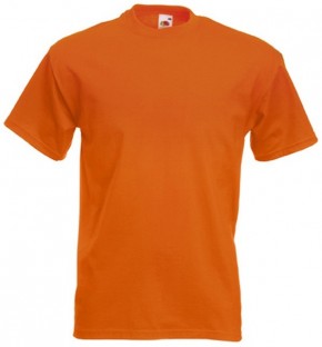 Ickburgh School - Compulsory P.E. T-Shirt with School Logo (9048)