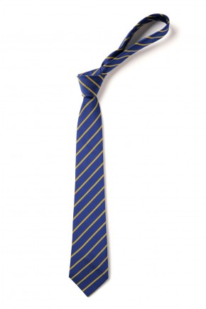 Glebe Primary School Elastic Tie (8983)