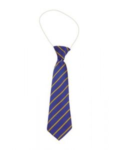 GLEBE PRIMARY SCHOOL ELASTIC TIE (8983)